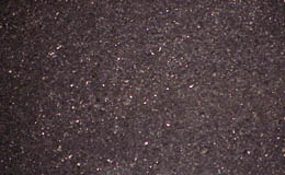 Black Galaxy Bronzino (India)